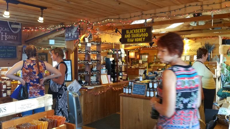 The Amish And Mennonite Presence That Sets The Tone