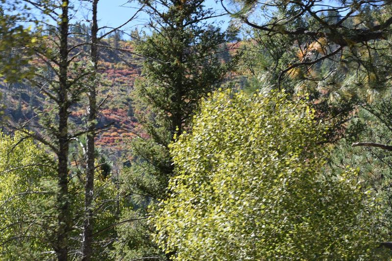 Wildflower Paths And Hidden Views