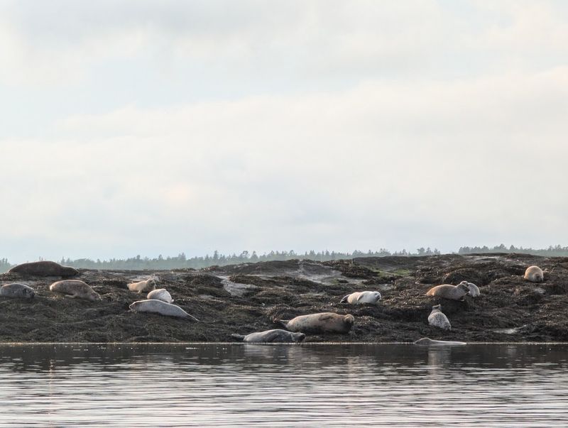 Wildlife Surprises Along The Way