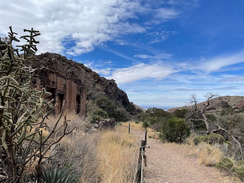 Sunlit Paths Through Chihuahuan Desert Scenery