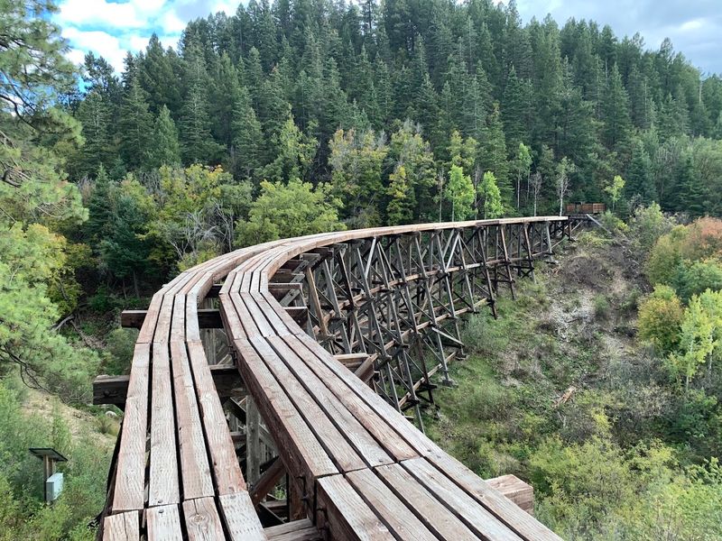 Where Pine Forest Meets Railroad History