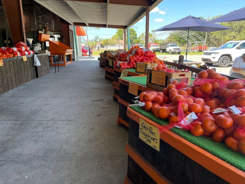 Oranges Worth The Drive