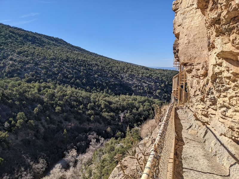 Limestone Ledges Above The Forest