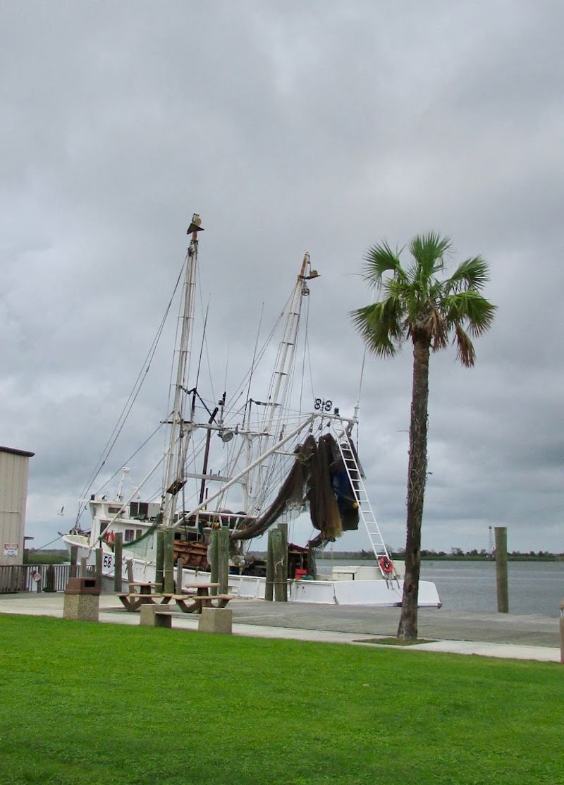 The Forgotten Coast and Why That Name Fits Perfectly