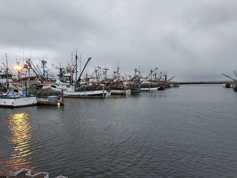 The Fishing Capital That Actually Earns The Title