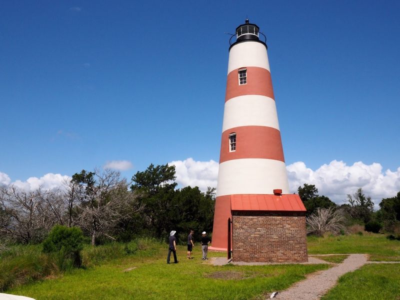 Sapelo Island Day Trip