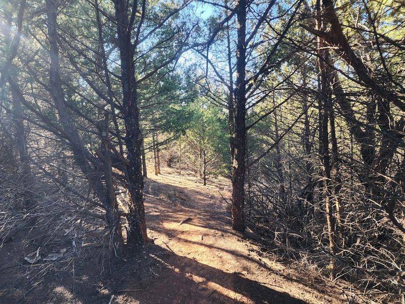 The Natural Beauty Of The Medicine Lodge River Valley