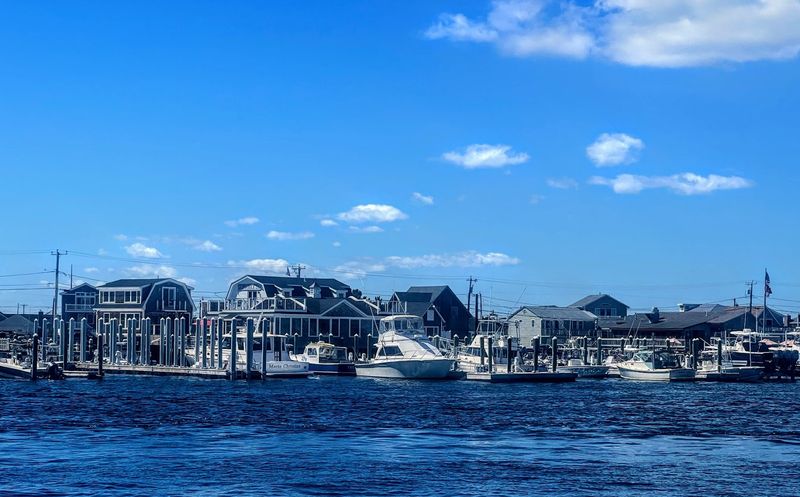 The Docks Are Alive