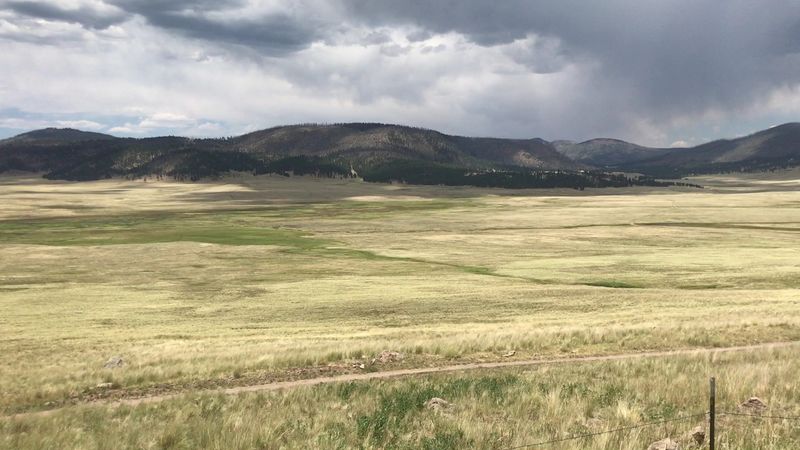Golden Grasslands Framed By Forested Hills