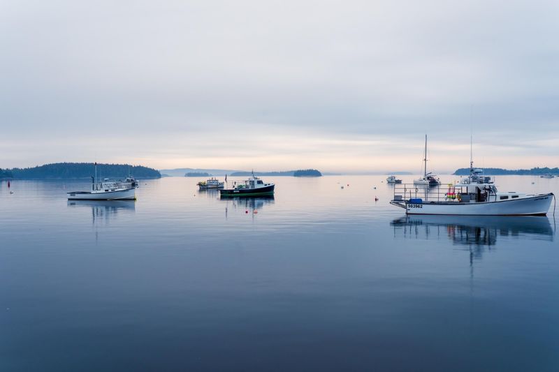 Lobster Culture Runs Deeper Than The Ocean Floor