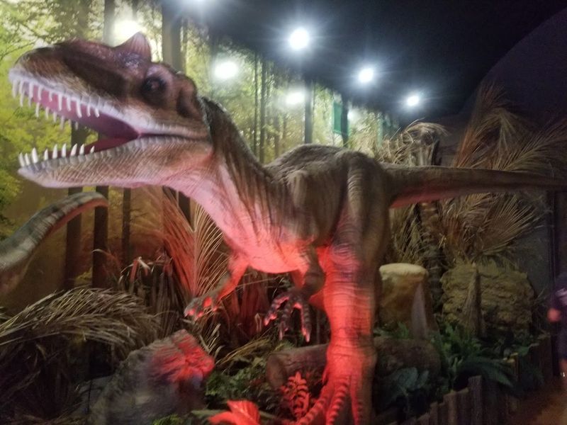 Seasonal Events And Night Trail