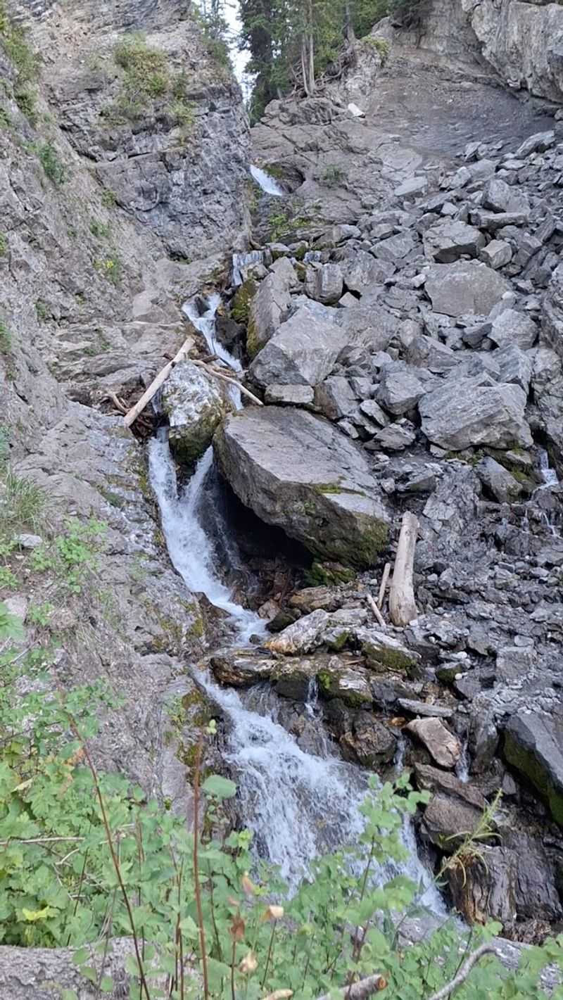 The Trail That Decides Everything For You