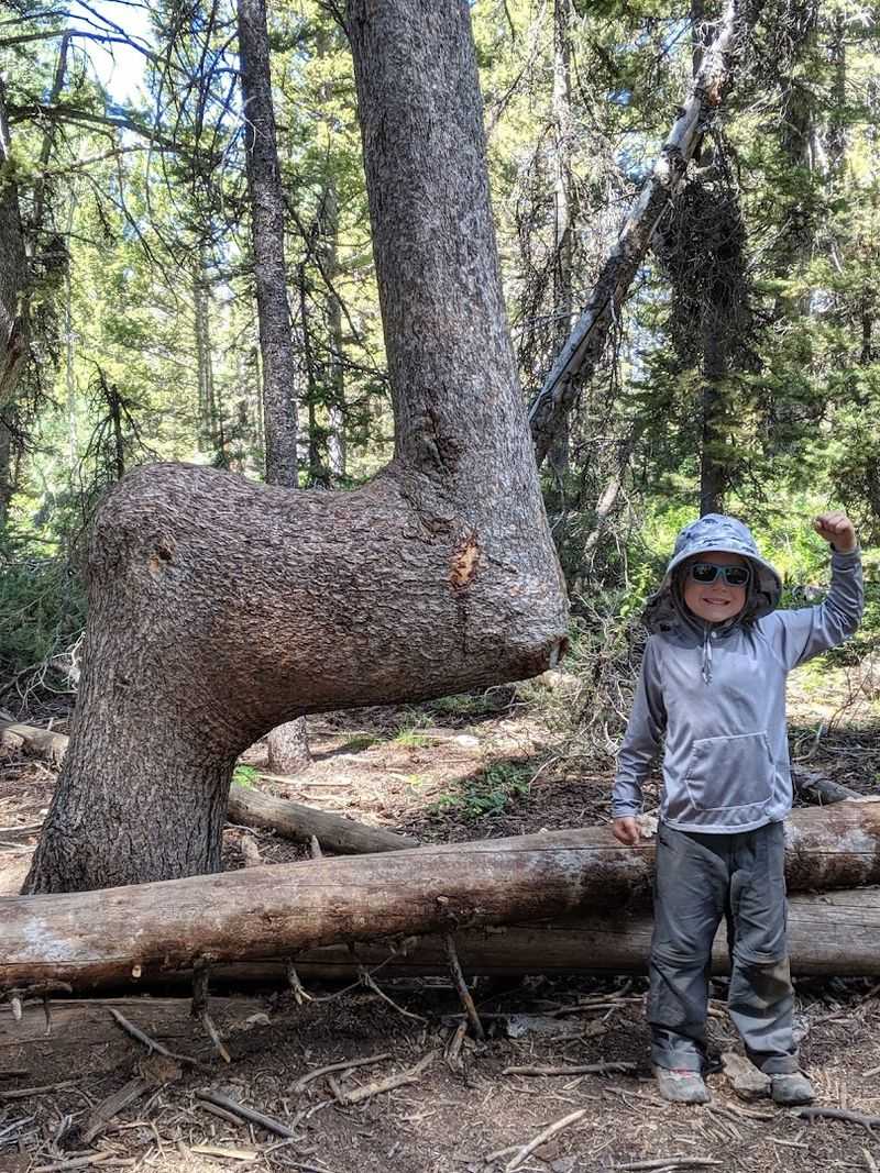 Why Families Keep Coming Back Season After Season
