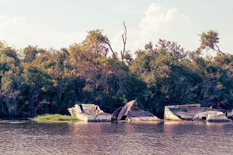 A Bayou Ride Beyond The Usual Map