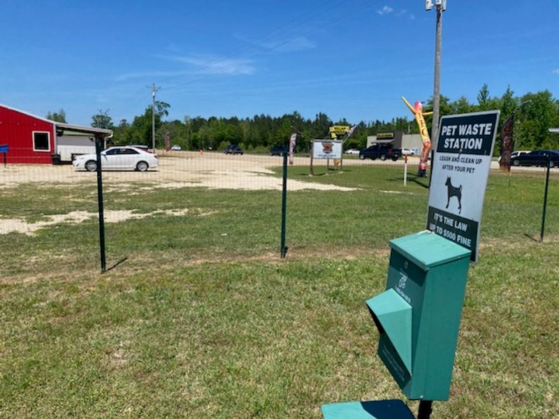 A Dog-Friendly Road Trip Stop