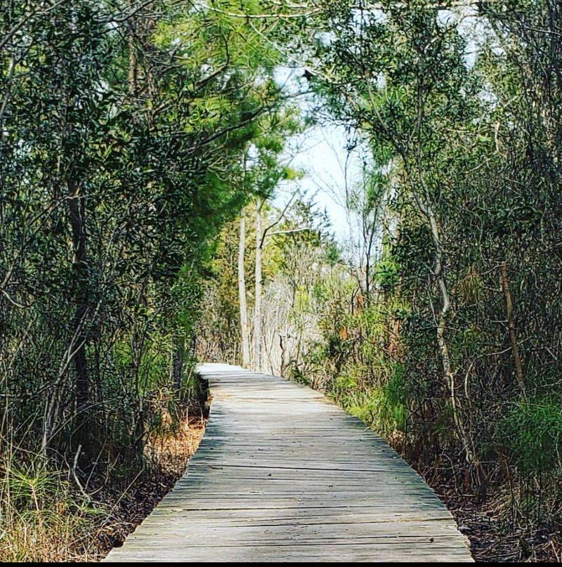 James Farm Ecological Preserve