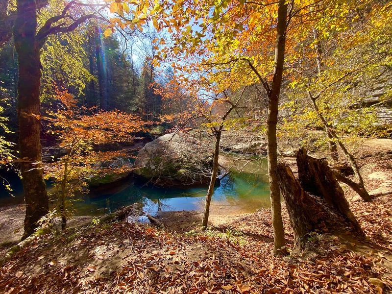 Copperas Creek Falls and the Hidden Oasis