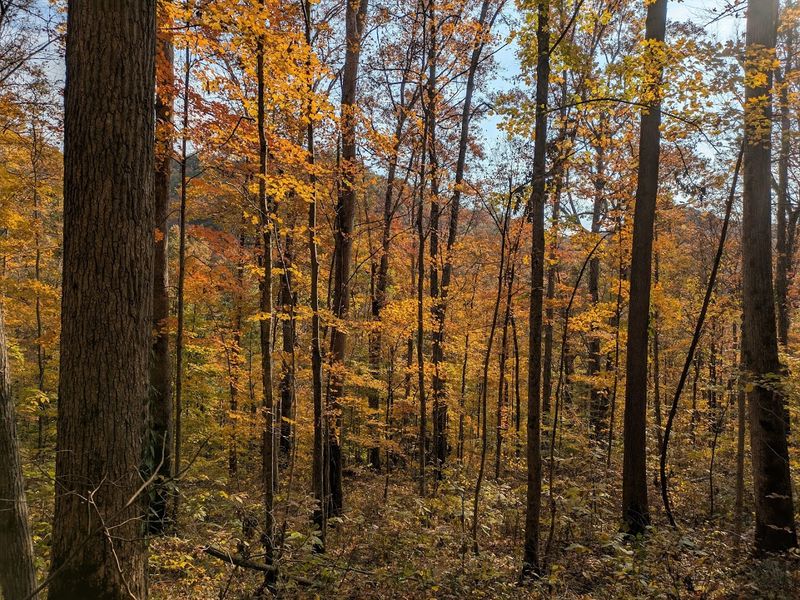 The Best Time of Year To Visit the Gorge