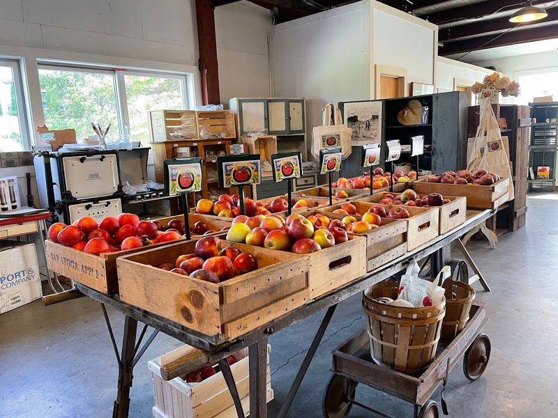 A Century Of Orchard History