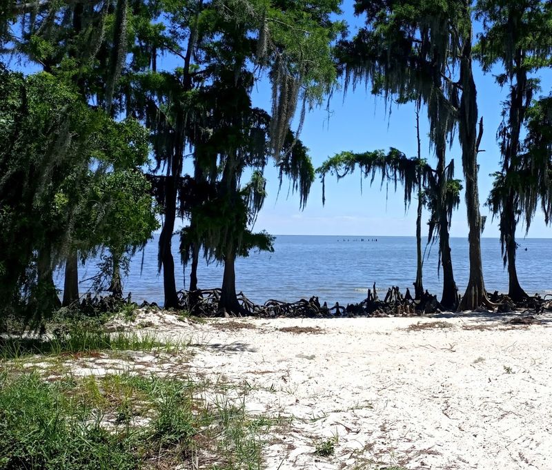 Fontainebleau State Park, Mandeville