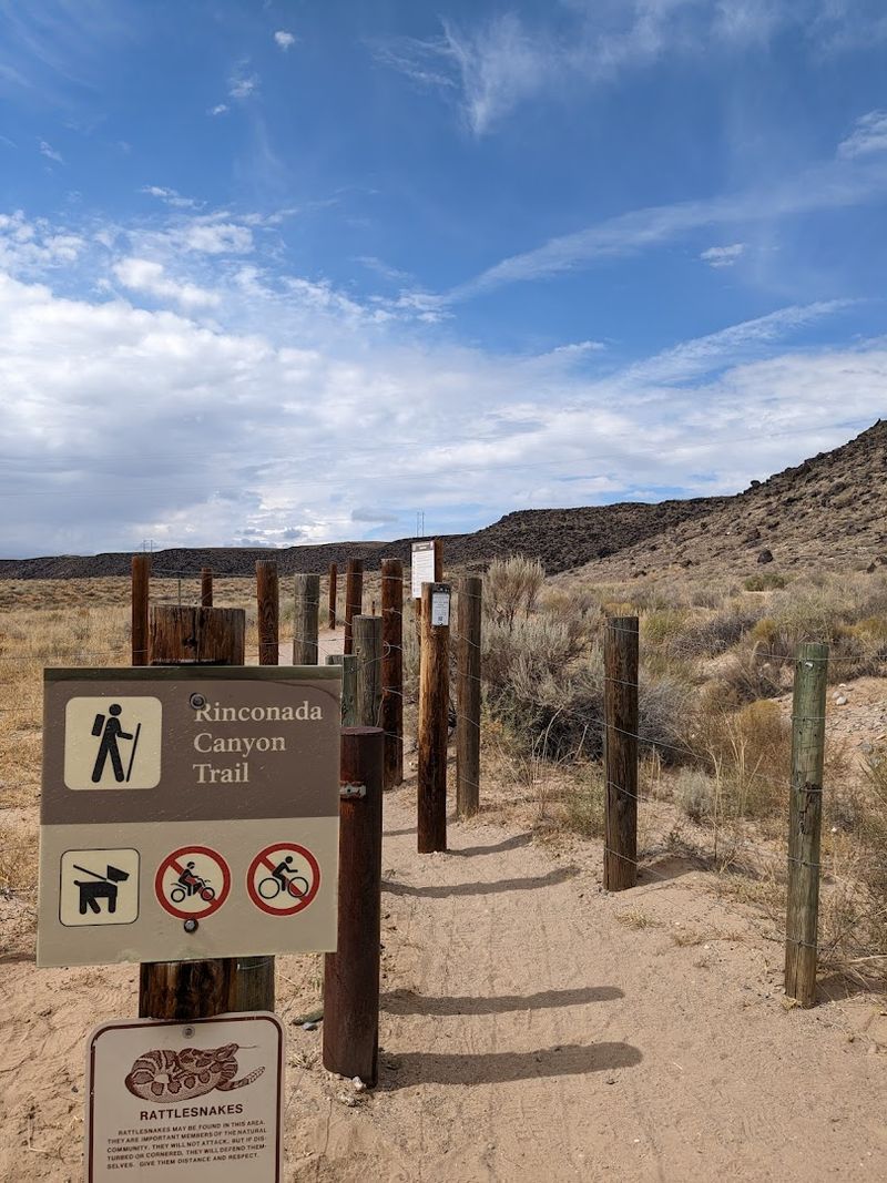 High Desert Paths And Hidden Carvings