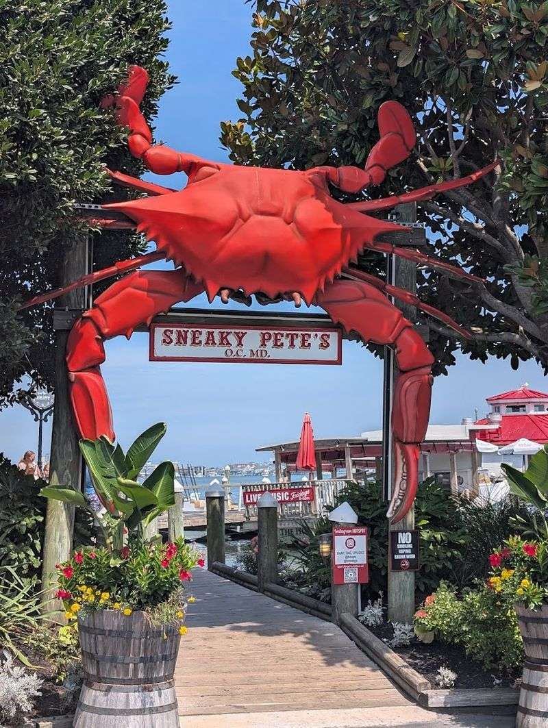 Sneaky Pete's Pier Experience