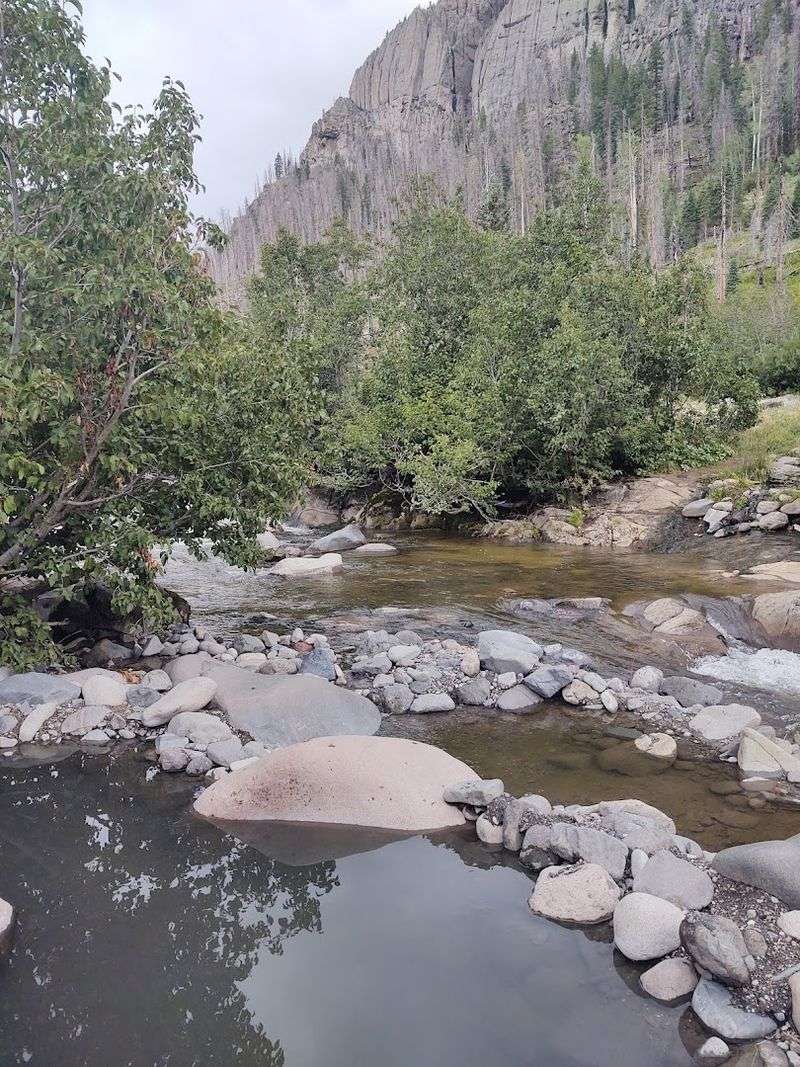 Free, Wild, And Completely Yours