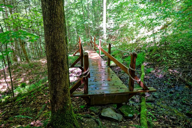 Practical Hiking Tips