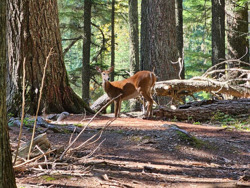 Family-Friendly Hiking Facts