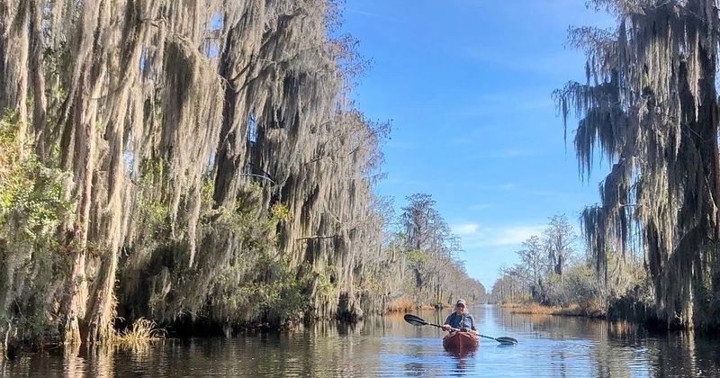 Paddling Through The Wilderness