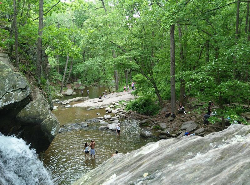 Picnic Areas And Family-Friendly Zones