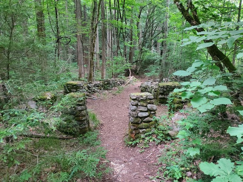 Elkmont Nature Trail