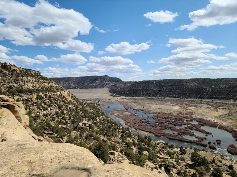 River Trails And Cottonwood Shade