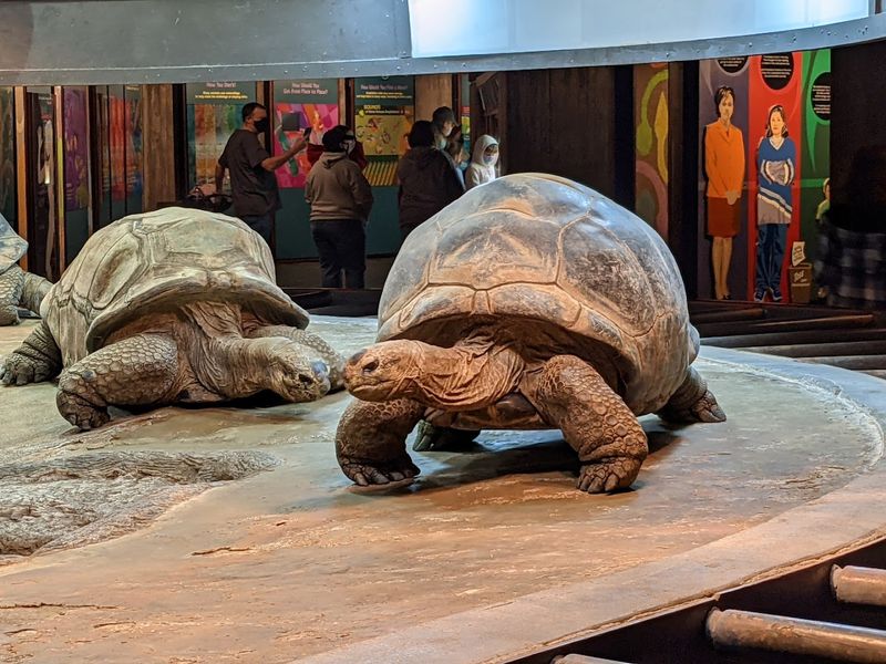 Sedgwick County Zoo, Wichita