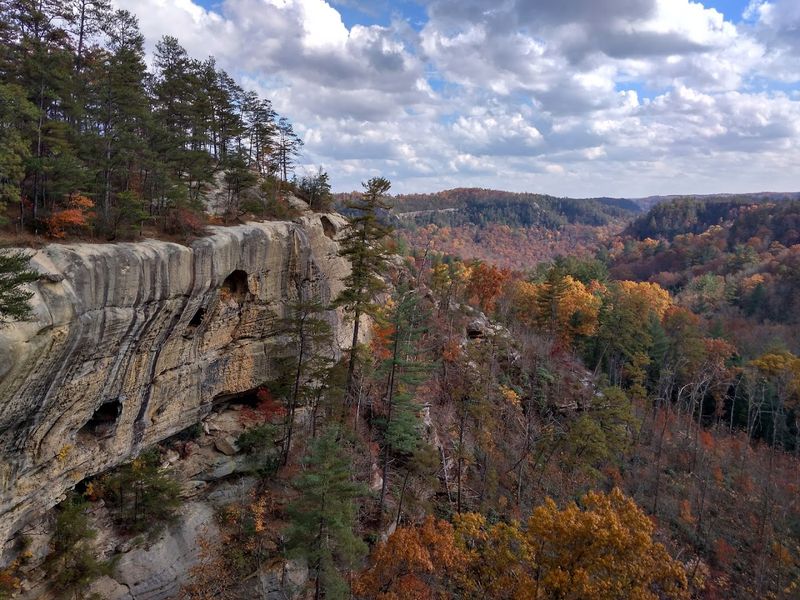 The Landscape That Rewrites What Kentucky Looks Like