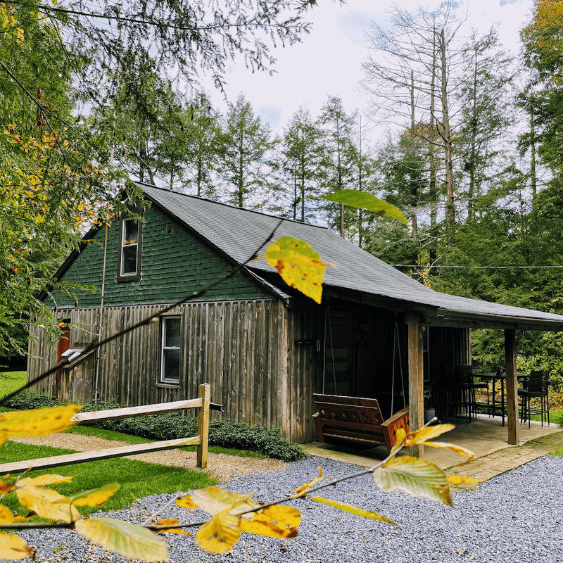 Three Sisters Cook Forest Rental Cabins