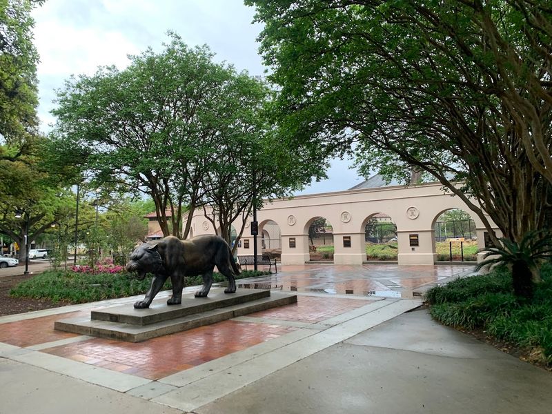 Use North Stadium Drive As Your Campus Compass