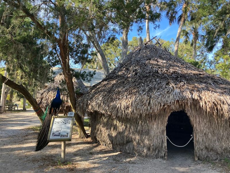 The Timucua Village And The People Who Were Here First