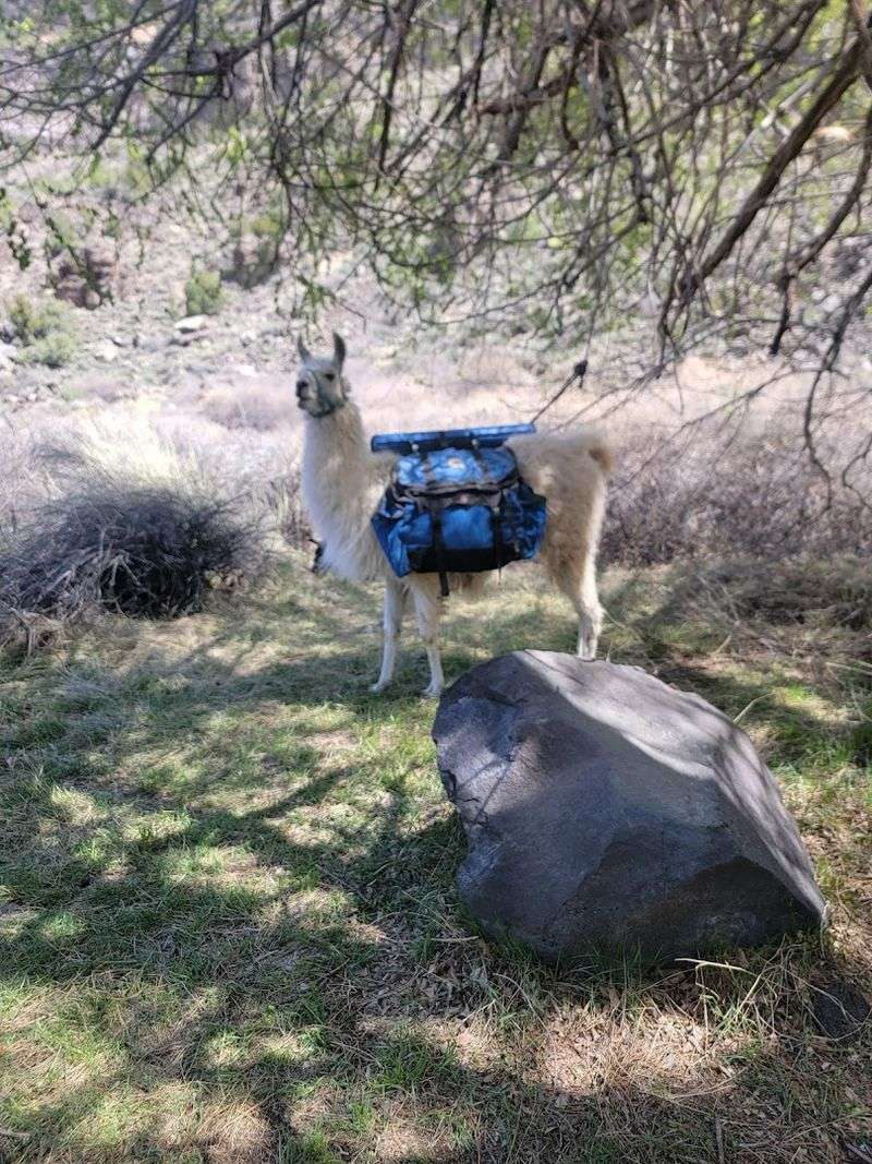 A Slow Walk Into Untouched Wilderness