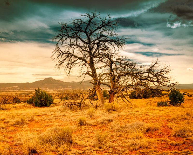 Sunlit Walls And High Desert Air