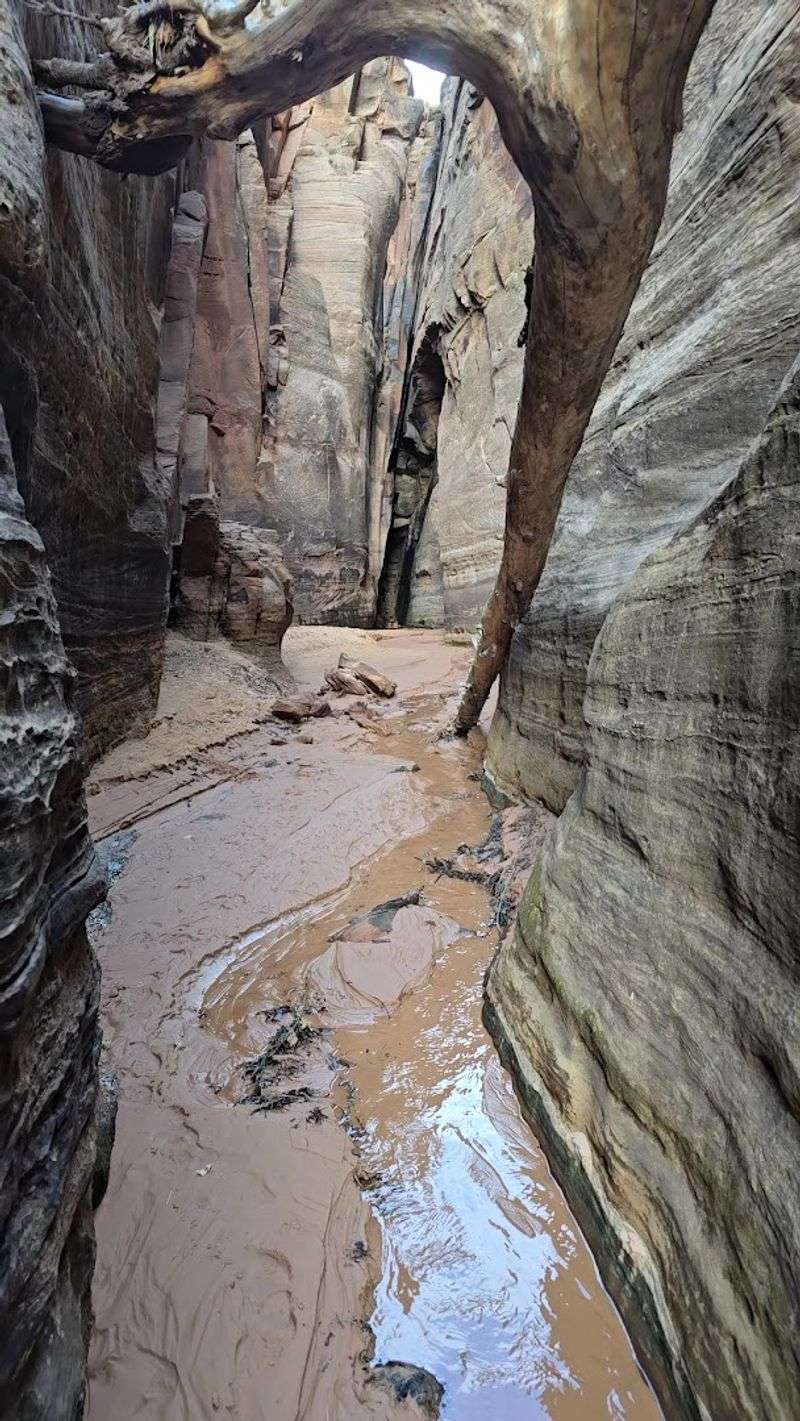 Trail Difficulty And What To Actually Expect On The Way Up