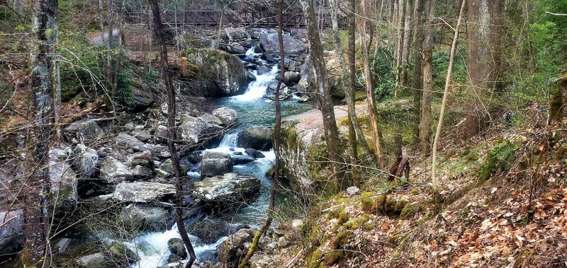 Henderson Falls