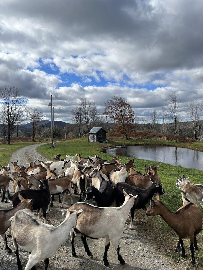 Doe's Leap Farm Store