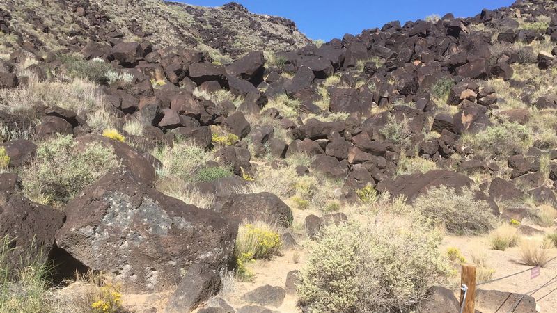 Rocky Paths Through High Desert Silence