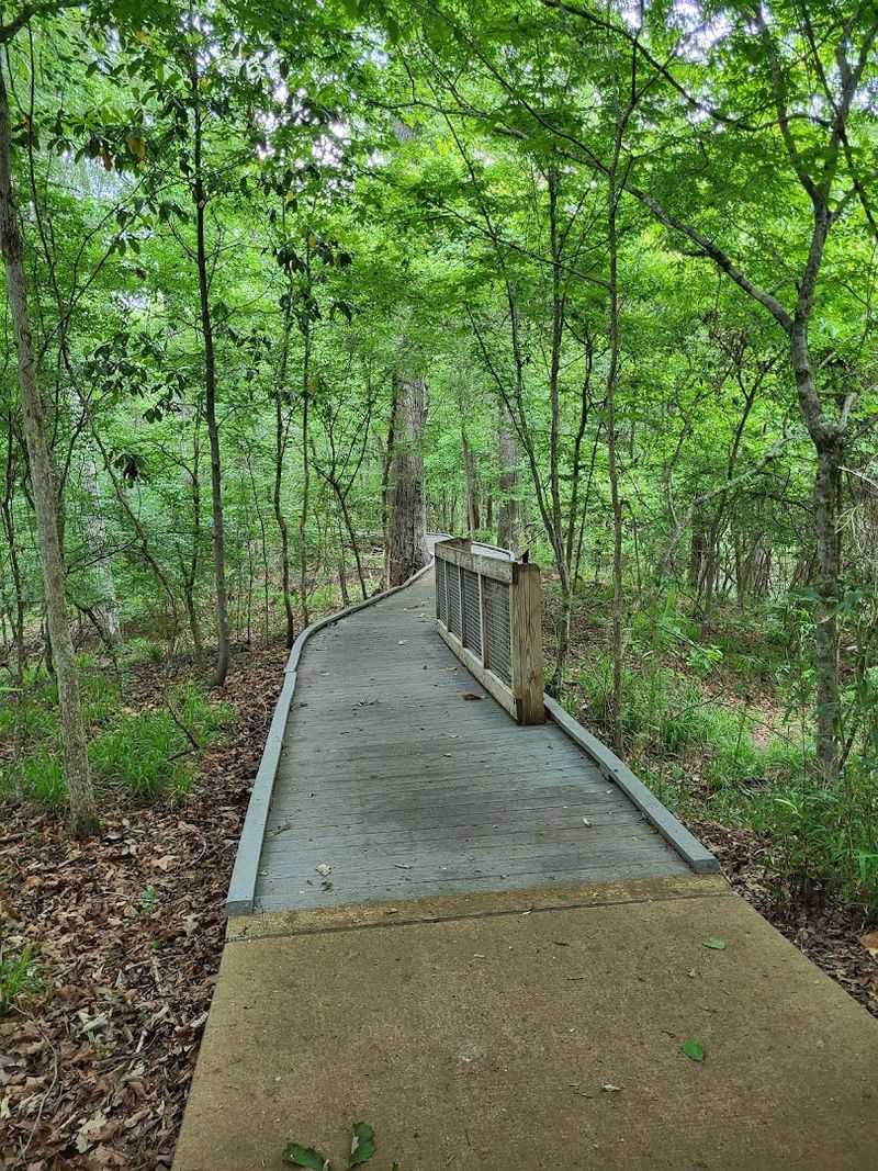Explore The Louisiana State Arboretum