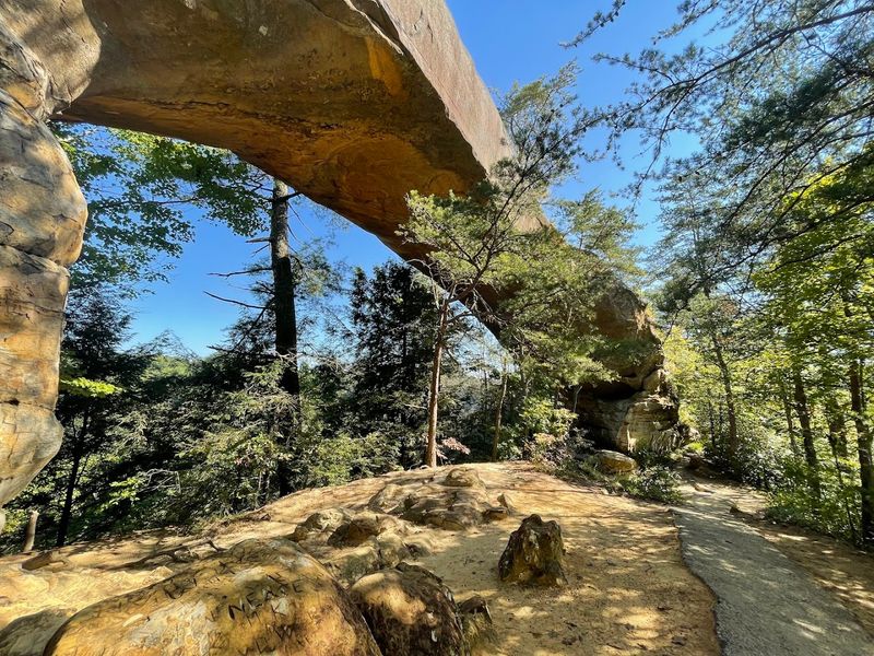 The Natural Arches That Put This Place On The Map