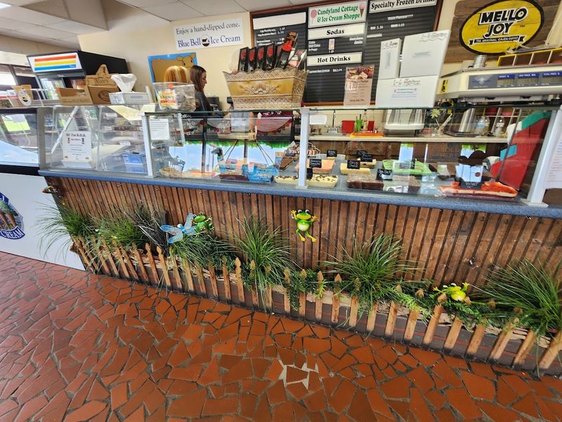 Savory Counter Options