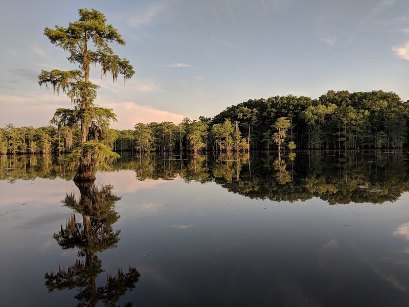 Observe Abundant Wildlife And Birdlife
