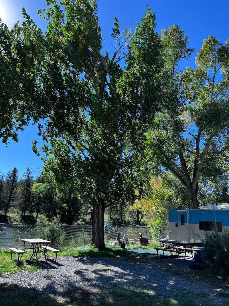Seeping Springs Trout Lakes And RV Park