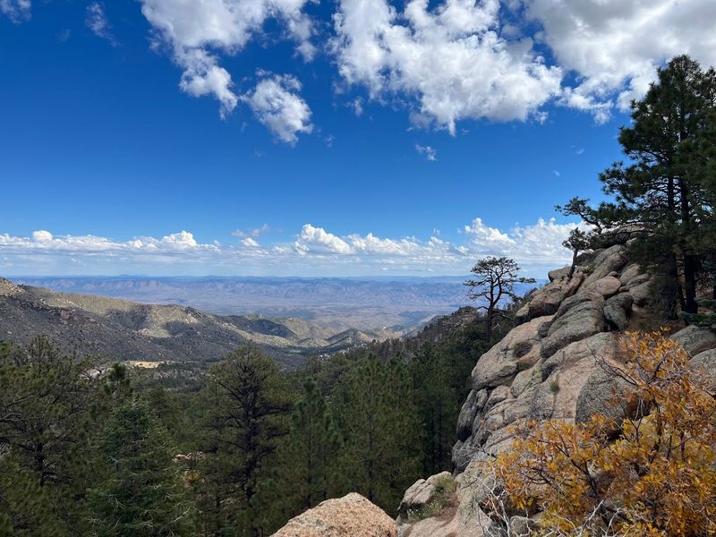 Hualapai Mountain Park, Kingman